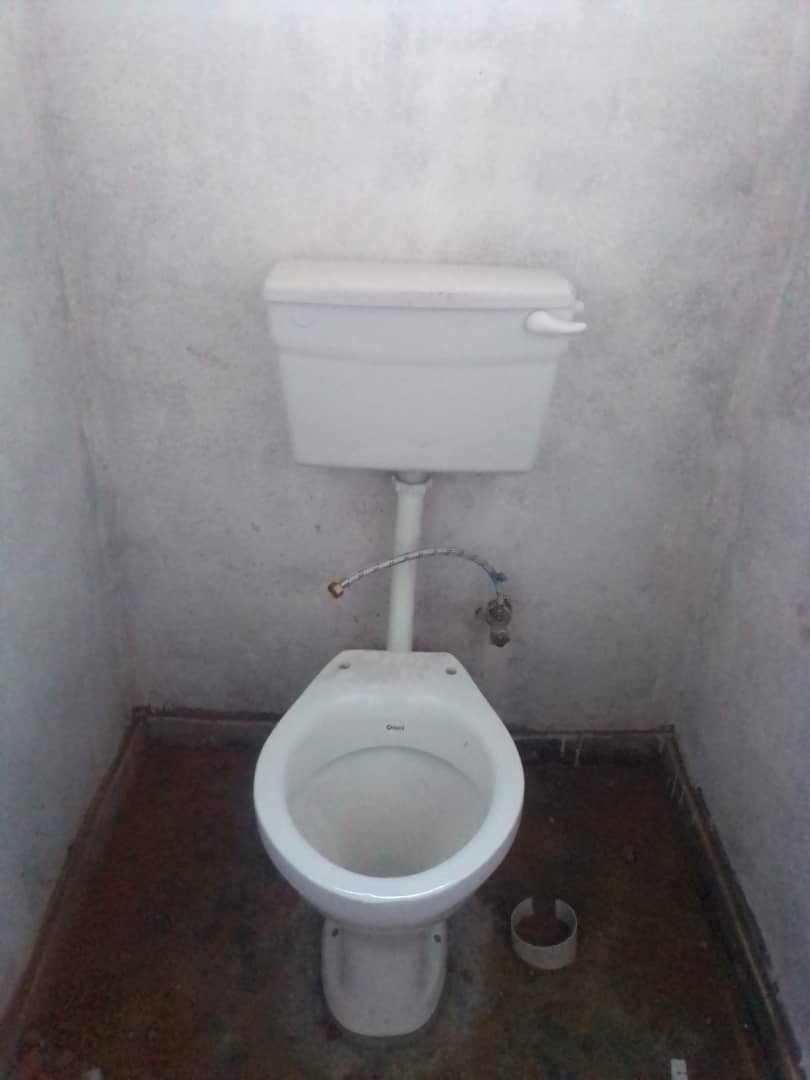 toilet toilet